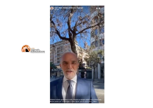 Pescara, eliminazione alberi a Piazza Sacro Cuore. Masci "erano piante morte"