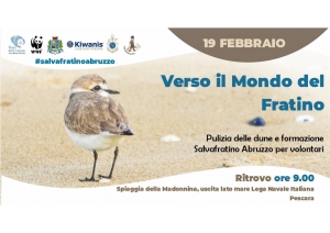 Incontro di formazione sul Fratino a Pescara