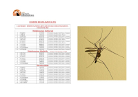 Giulianova. Disinfestazione per contrastare il proliferare delle zanzare