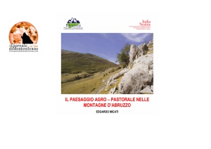 Pescara. Il paesaggio d'Abruzzo protagonista di un incontro a Villa Sabucchi