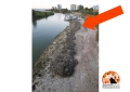 Sponda del Saline, sedimenti e fango