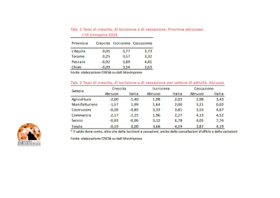 Abruzzo/impresa, in calo le aziende, in aumento il solo terziario non commerciale.