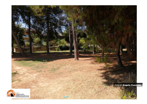 Montesilvano/maltempo, chiusi cimitero, parchi e riserva naturale di Santa Filomena.