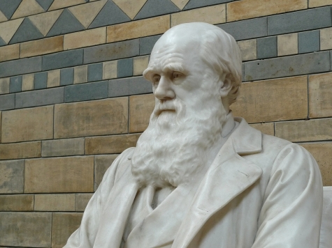 Darwin Day. Confronto tra mentalista e psicologo. Sfida tra magia e scienza.
