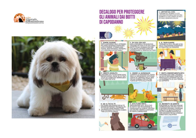 Capodanno/botti. Decalogo Oipa per mettere in sicurezza gli animali: video e fumetto