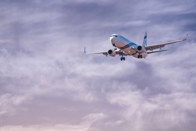 Abruzzo/Agricoltura. Domani arriva la manodopera dal Marocco all'aeroporto di Pescara.