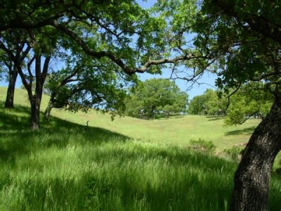 Abruzzo/Ambiente. “No all’ennesimo taglio sulla difesa della natura”