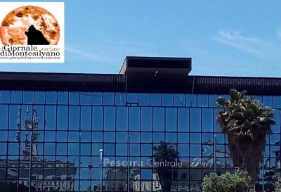 Pescara. Sinistra italiana spiega le ragioni della nascita del mercatino etnico