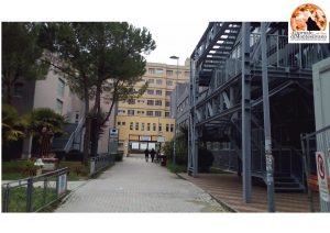 Pescara. Nosocomio file burocratiche evitabili