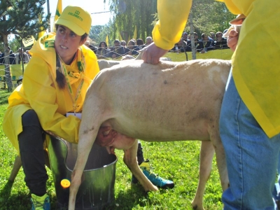 Durante la manifestazione