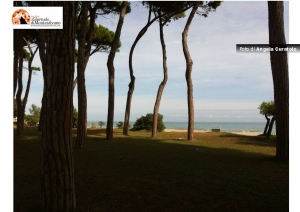 Comitato VIA dice sì alle opere antierosione di Pineto