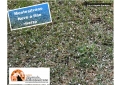 neve appena scesa a chicchi