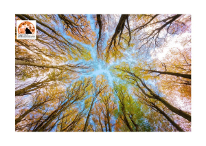 Sostenibilità ambientale: Abruzzo bocciato