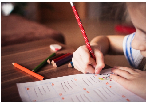 Montesilvano, derattizzazione nelle scuole