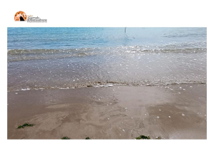 Pescara, rinvenuto il corpo di una donna trovato sulla spiaggia.