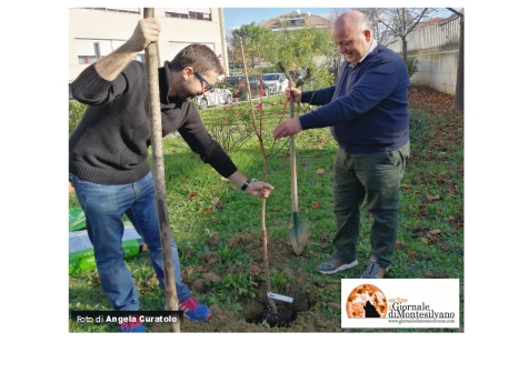 deputato Colletti e Straccini piantumano un alberello