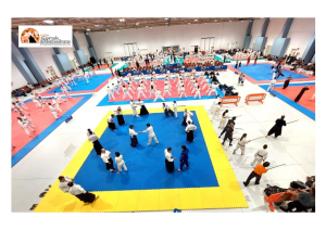 Montesilvano, tre giorni di stage di arti marziali