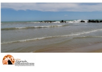 mare