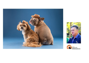 Giulianova. L’Università, ritira il patrocinio al Carnevale a 4 Zampe”