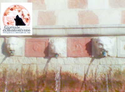 L'Aquila, nasce il partito animalista, agenda “generalista”