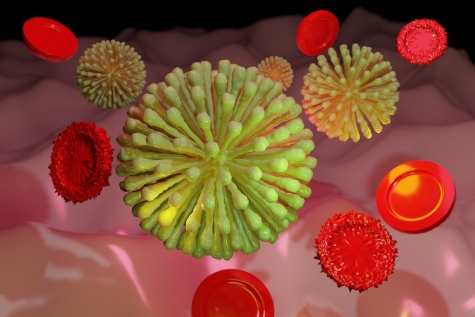 Coronavirus/Abruzzo. 65 casi in più oggi. 17 deceduti