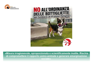 Pipì dei cani da lavare con le bottiglie e, l'ordinanza di Pratola Peligna finisce al TAR Abruzzo: chiesto l'annullamento