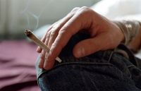 Marijuana. Allarme dei pediatri Usa: è pericolosa per cervello adolescenti