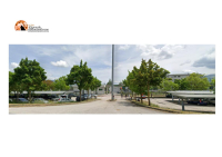 L’Aquila, avvistati topi al carcere.