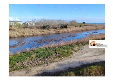 Città Sant’Angelo, scarichi nel fiume saline, l'acqua era nera oggi