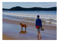 https://unsplash.com/photos/persona-che-cammina-con-un-golden-retriever-adulto-in-riva-al-mare-FwoqBEFCFdk 