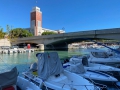 Pescara. IV Trofeo “Porto Antico” di Traina sportiva