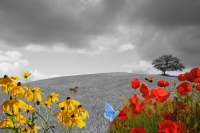 Meteo, settimana instabile, tra annuvolamenti e rovesci.