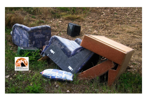 Pescara, potenzia ritiro ingombranti, strategia contro gli abbandoni