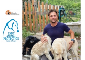 Pescara/Psicologia del cane. Formazione per i proprietari.