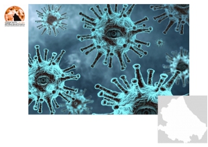Abruzzo/Covid 19. +192 su 1766 tamponi