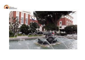 Pescara/Aumento indennità a tre persone dello staff del Sindaco.  Pettinari, "Ecco cosa non avrei taglio io"