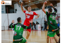 Pallamano maschile Serie A2. Lions Teramo battuto a Bologna.