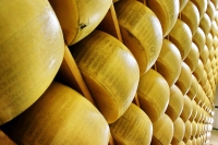 Parmigiano e prosciutto come fumo. Centinaio: "pazzia pura"
