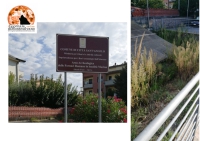 Città Sant'Angelo, Sinistra Italiana ricorda: sito archeologico abbandonato a Marina.