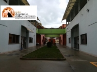 Montesilvano/biblioteca. Gli studenti insistono: “aspettiamo risposte”.