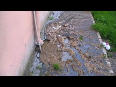 Via Rimini liquami fuoriescono da un tombino di scarico