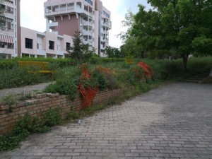 Lanciano. "Parco in Via Osento abbandonato tra degrado e sporcizia"