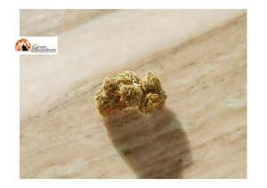 Pescara, aveva 1 kg di marijuana e hashish, condannato a 1 anno.