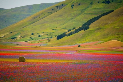 L'Eden Fiorito della Sibilla Picena -video