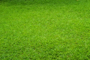 Montesilvano, declassamento terreni agricoli, arriva il bando
