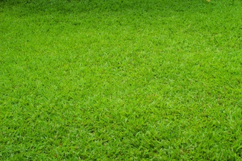 Montesilvano, declassamento terreni agricoli, arriva il bando