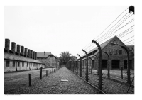 Shoah. Montesilvano, Comune invita scuola a scrivere un elaborato