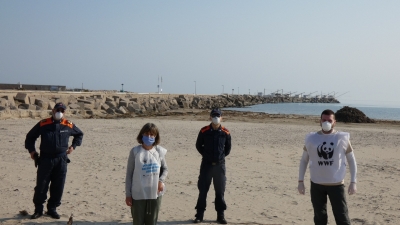 WWF Abruzzo, tutela il Fratino sulla costa regionale