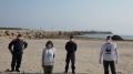 WWF Abruzzo, tutela il Fratino sulla costa regionale