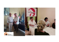 Tortoreto. Tar fa chiarezza sulle colonie feline.